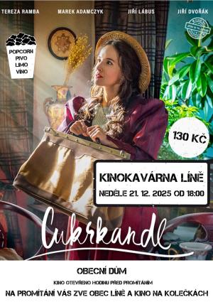 promítání filmu v obci